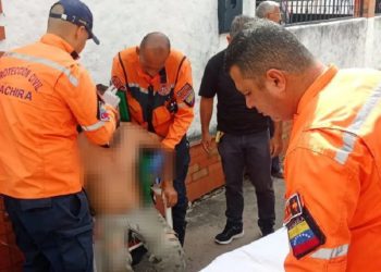 Protección Civil Táchira atendió a un hombre tras caer de un árbol de 8 metros