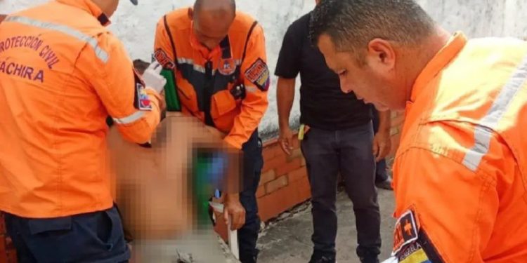Protección Civil Táchira atendió a un hombre tras caer de un árbol de 8 metros