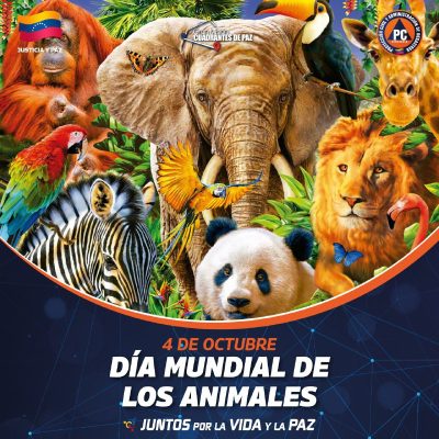 5112040371612486483 (1)