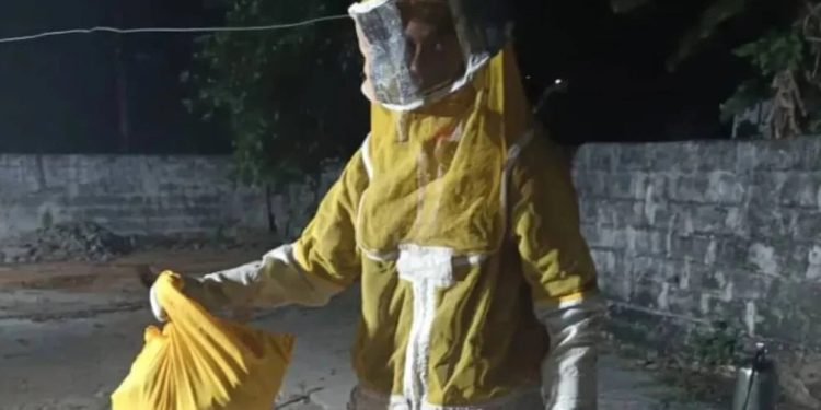 Protección Civil reubicó un panal de abejas en el estado Bolívar