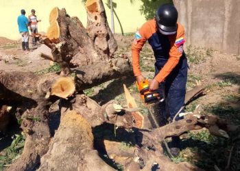Protección Civil realiza labores de tala controlada en el estado Sucre