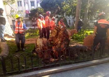 Protección Civil realizó labores de roleo en la Plaza Bolívar de Caracas