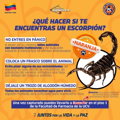 SaveClip.App_542923122_18363644212154959_2504761360282086575_n