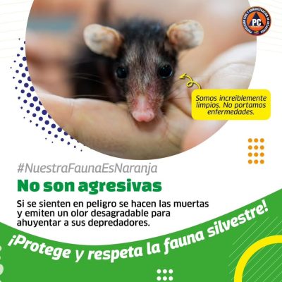 SaveClip.App_546639292_18364427671154959_2871539925549407748_n