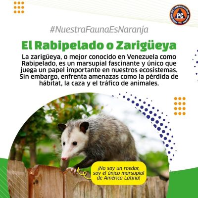 SaveClip.App_546695675_18364427680154959_2712459931981218109_n