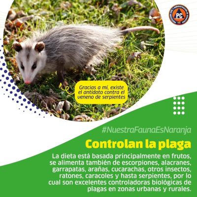 SaveClip.App_547830849_18364427704154959_7747846896951532815_n