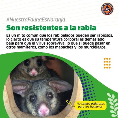 SaveClip.App_548143332_18364427689154959_7662102165463591321_n