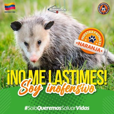 SaveClip.App_548882844_18364427461154959_6701328613121554907_n