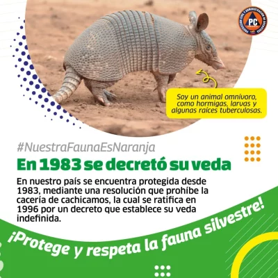 SaveClip.App_555306688_18366579130154959_2140444314036829367_n