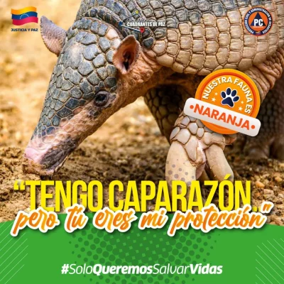 SaveClip.App_555672603_18366579091154959_7014242881727783082_n