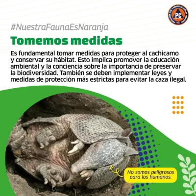 SaveClip.App_556389182_18366579121154959_5133017014618161245_n