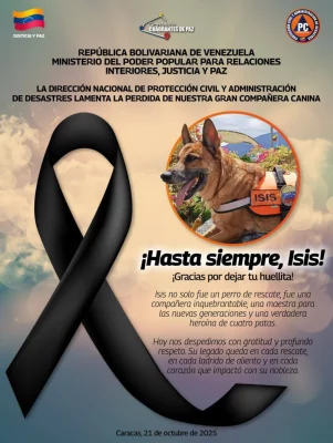 SaveClip.App_567602545_18370301035154959_5021070978615044793_n