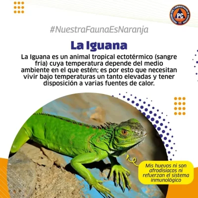 SnapInsta.to_551261100_17860572132488910_6860975706903543201_n