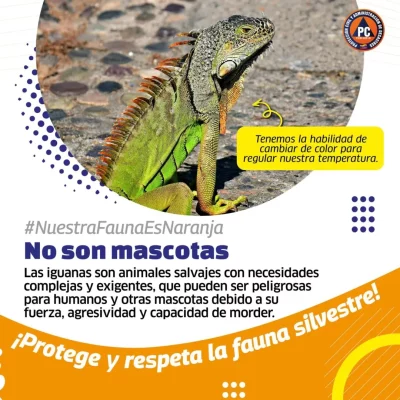 SnapInsta.to_551289219_17860572162488910_4313457735628864095_n