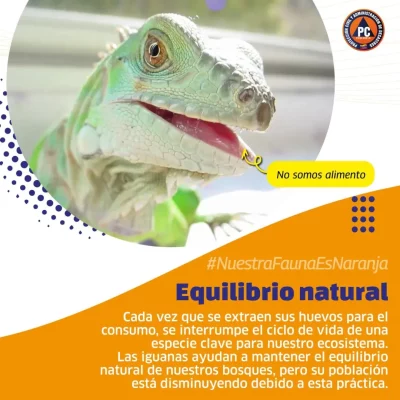 SnapInsta.to_552083264_17860572141488910_346778948249784212_n