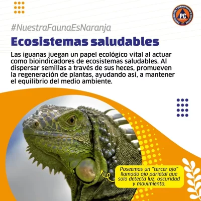 SnapInsta.to_552310958_17860572153488910_459380541348797775_n