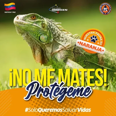 SnapInsta.to_552314046_17860572123488910_1141133783624790204_n