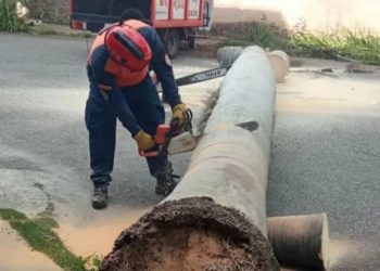 Protección Civil realizó labores de roleo en el estado Miranda