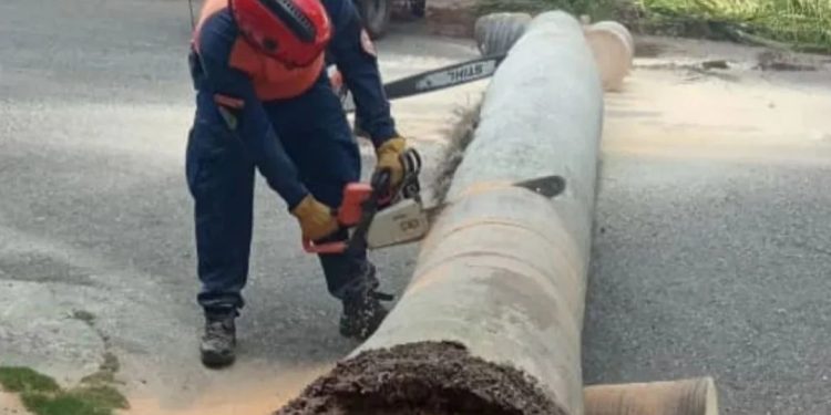 Protección Civil realizó labores de roleo en el estado Miranda