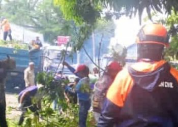 PC Bolívar mitiga riesgos tras caída de las ramas de un árbol sobre una vivienda