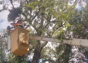 DNPCAD realizó labores de mitigación de riesgos en la Unidad Educativa Monseñor Acevedo en el estado Táchira