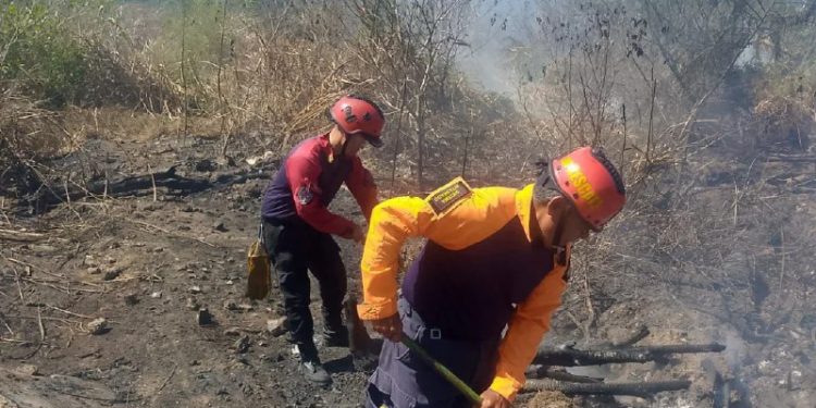 Protección Civil mitiga incendio de vegetación en el estado Carabobo