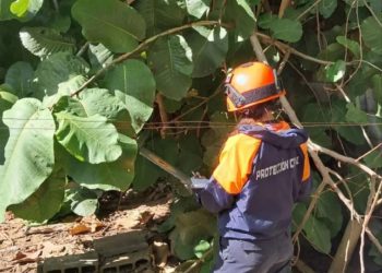 Protección Civil realizó evaluación de riesgo de una vivienda en el estado Bolívar