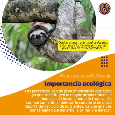 SaveClip.App_559219877_18367591441154959_2013159785235834_n