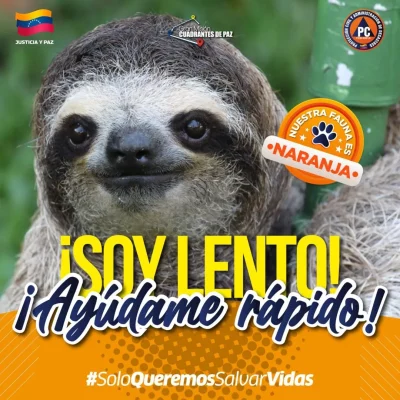 SaveClip.App_559352946_18367591414154959_2828862427939517457_n (1)