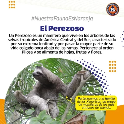 SaveClip.App_559838631_18367591423154959_772924094643741308_n