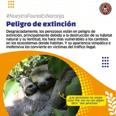 SaveClip.App_560246872_18367591450154959_7033023836237378727_n