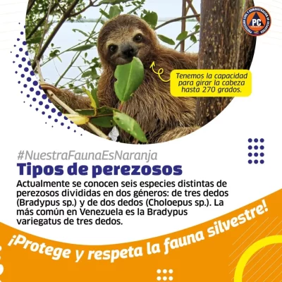 SaveClip.App_561158980_18367591432154959_4457412744235147463_n