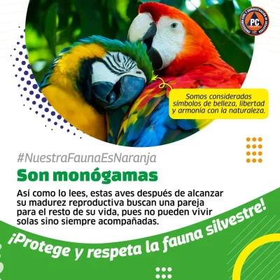 SaveClip.App_562795133_18368572843154959_8908932903670033202_n