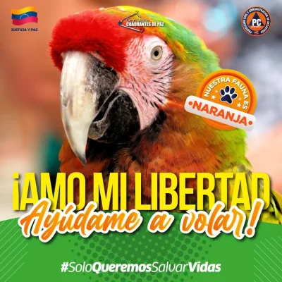 SaveClip.App_563323488_18368572825154959_558108636215568705_n