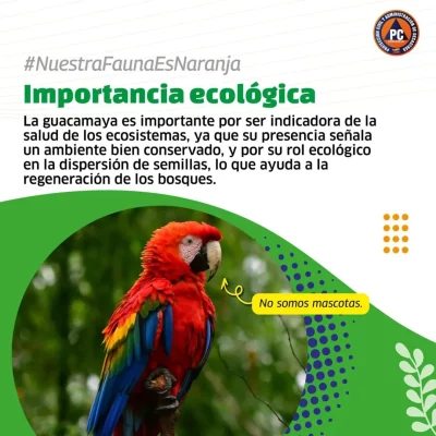 SaveClip.App_563357710_18368572834154959_1788224137824769691_n