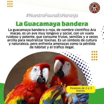 SaveClip.App_564730445_18368572816154959_7356717822494374508_n