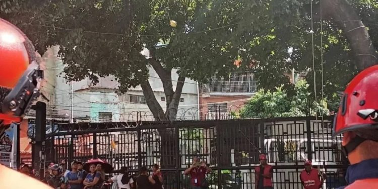 Protección Civil realizó una poda controlada en las adyacencias del Hospital Ana Francisca Pérez de León I