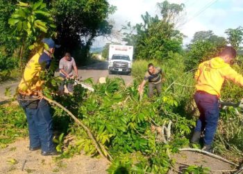 Protección Civil realizó despeje vegetal en las vías del estado Táchira