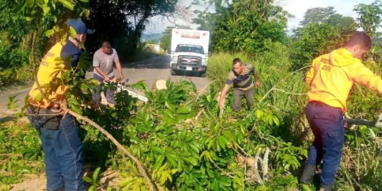 Protección Civil realizó despeje vegetal en las vías del estado Táchira