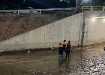 Protección Civil del municipio Sucre realizó jornada de limpieza integral en el Distribuidor Santa Cecilia