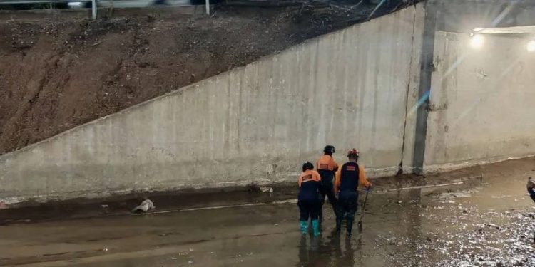 Protección Civil del municipio Sucre realizó jornada de limpieza integral en el Distribuidor Santa Cecilia