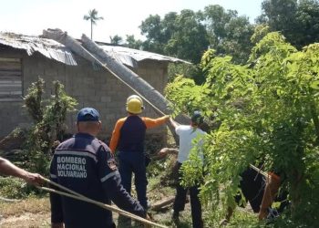 SNGR activó un despliegue de poda controlada de árboles en el estado Sucre