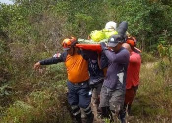 DNPCAD rescató con éxito a turista brasileña lesionada en el Parque Nacional Canaima