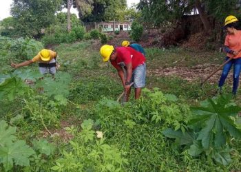 Protección Civil realizó jornada de limpieza y desmalezamiento en el estado Sucre