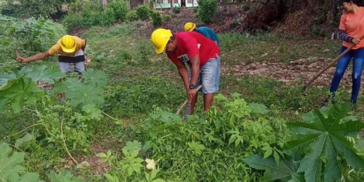 Protección Civil realizó jornada de limpieza y desmalezamiento en el estado Sucre