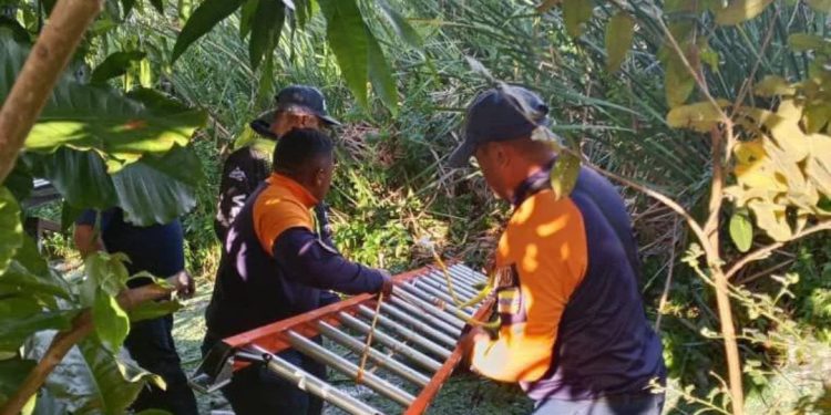 Protección Civil rescató a un canino atrapado en una laguna local en el estado Apure