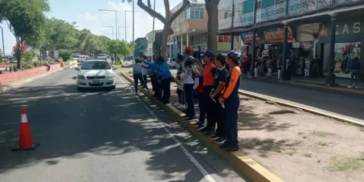 DNPCAD realizó jornada de sensibilización ambiental y reforestación en el estado Bolívar