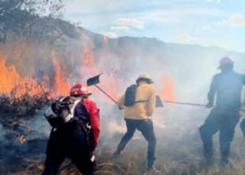 Protección Civil extinguió incendio de vegetación en el estado Guárico