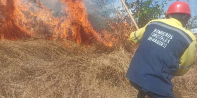 Protección Civil controló incendio de vegetación en el estado Guárico