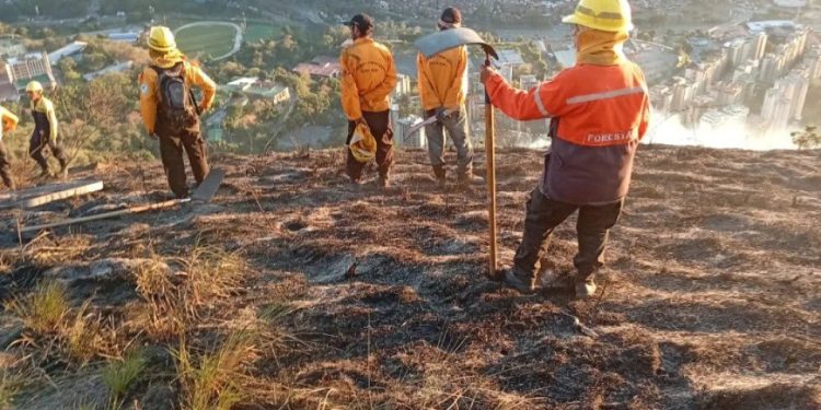 PC controló incendio vegetal de gran magnitud en el Waraira Repano